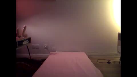 Snapshot of sissyrafaela chatting on 12.30.24 sissyrafaela online show from 12.30.24