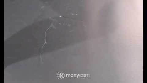 Sissyslut6111 online show from 12.26.24