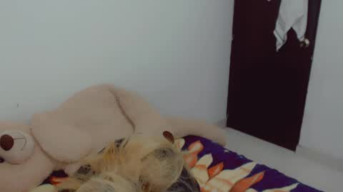 Arlett online show from 04.20.26