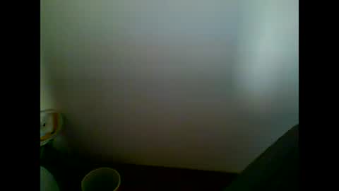 Snapshot of skater19xxx chatting on 03.07.25 miguel online show from 03.07.25