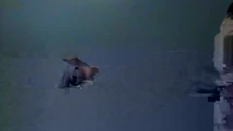 skeeter4fun73 online show from 12.20.25