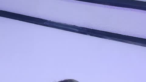 skinny_hottie18 online show from 06.27.26