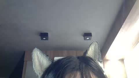 skinnykittencam online show from 03.14.26