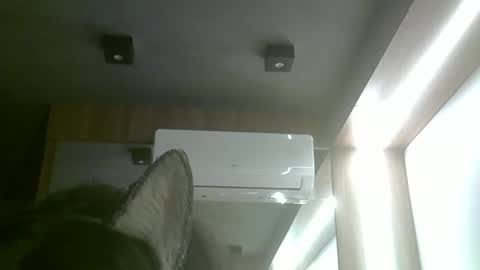 skinnykittencam online show from 06.03.26
