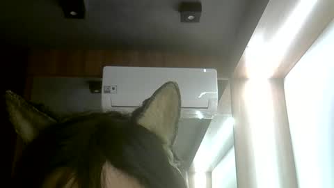 skinnykittencam online show from 06.07.26