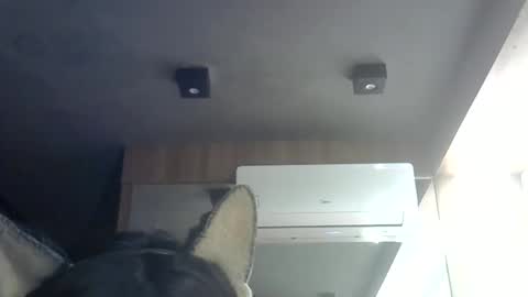 skinnykittencam online show from 06.08.26