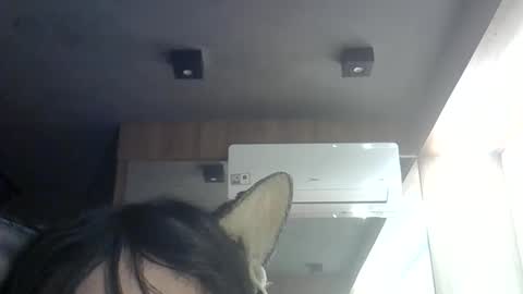 skinnykittencam online show from 06.11.26