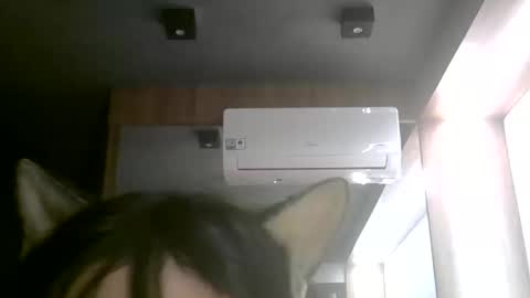 skinnykittencam online show from 06.11.26