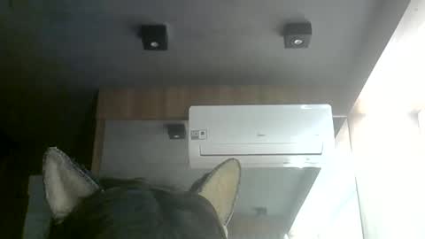 skinnykittencam online show from 06.11.26