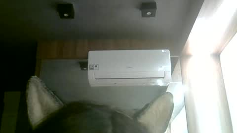 skinnykittencam online show from 06.14.26