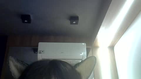 skinnykittencam online show from 06.16.26