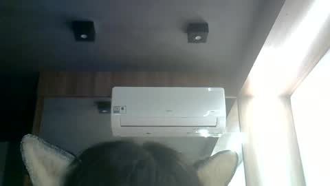 skinnykittencam online show from 06.17.26