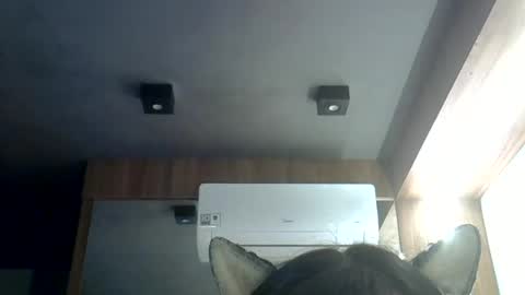 skinnykittencam online show from 06.19.26