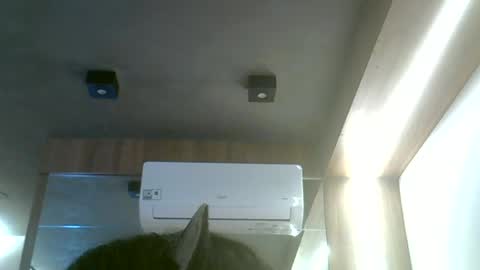 skinnykittencam online show from 06.19.26