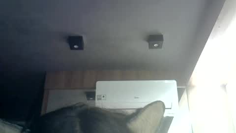 skinnykittencam online show from 06.23.26
