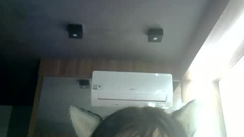 skinnykittencam online show from 06.25.26