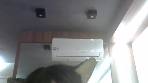 skinnykittencam online show from 06.26.26