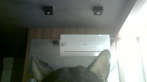 skinnykittencam online show from 06.28.26