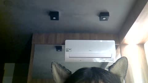 skinnykittencam online show from 06.29.26