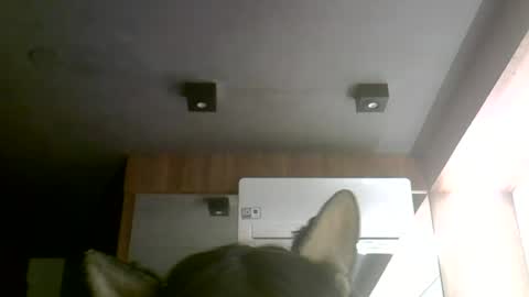 skinnykittencam online show from 06.30.26