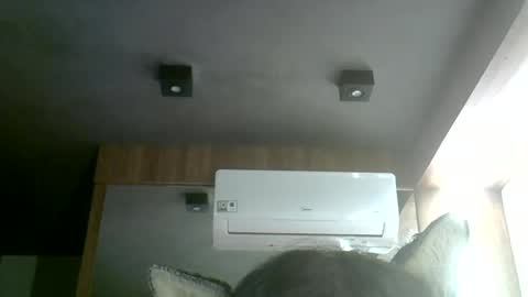 skinnykittencam online show from 07.02.26