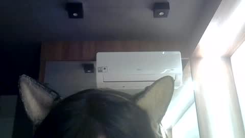 skinnykittencam online show from 07.03.26