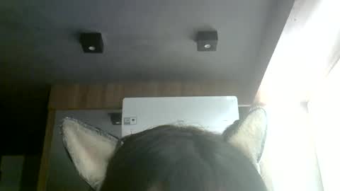 skinnykittencam online show from 07.04.26