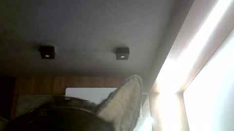 skinnykittencam online show from 07.04.26