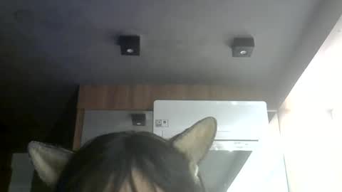 skinnykittencam online show from 07.07.26