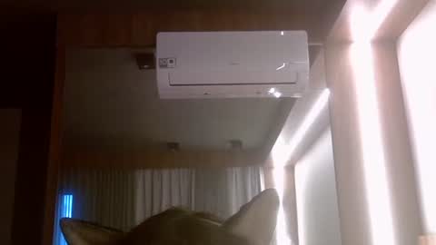 skinnykittencam online show from 07.07.26