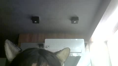 skinnykittencam online show from 07.08.26
