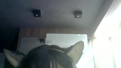skinnykittencam online show from 07.09.26