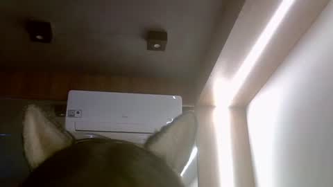 skinnykittencam online show from 07.16.26