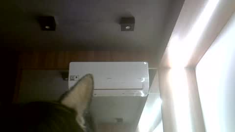 skinnykittencam online show from 07.20.26
