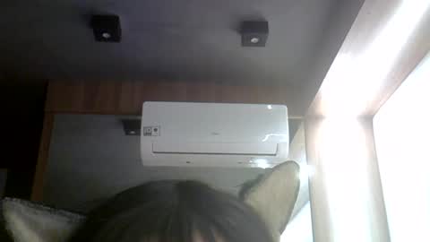 skinnykittencam online show from 07.24.26