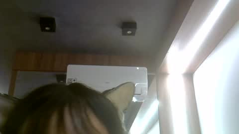 skinnykittencam online show from 07.25.26
