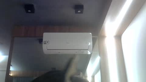 skinnykittencam online show from 07.28.26