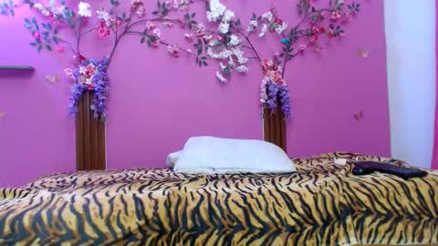 sofia online show from 02.24.26