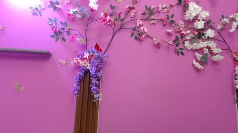 sofia online show from 04.19.26