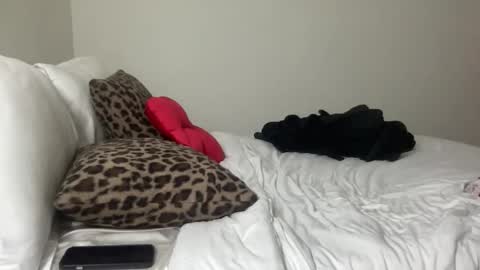 Snapshot of skyybanks chatting on 10.15.25 Skylar online show from 10.15.25