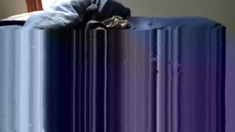 Snapshot of slappincheeks299 chatting on 10.28.25 slappincheeks299 online show from 10.28.25