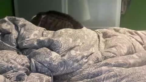 slice5 online show from 12.21.25