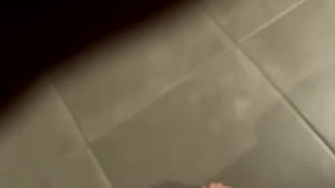 Snapshot of slimlord90 chatting on 01.25.25 slimlord90 online show from 01.25.25