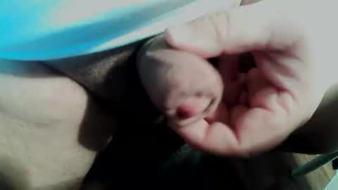 Small Pekka online show from 02.11.26