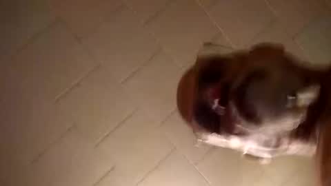 Snapshot of smithology chatting on 12.19.24 Smithology online show from 12.19.24