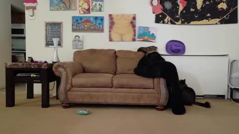 Big Dawg online show from 07.26.26