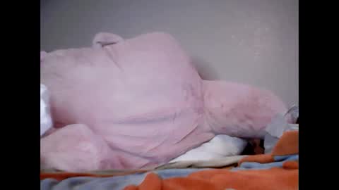 Snapshot of smolgothwitch chatting on 02.04.25 SmolHungGothWitch online show from 02.04.25