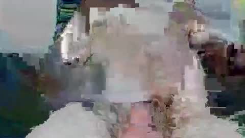 snakey boy online show from 11.26.25