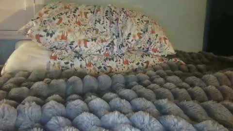 Snapshot of soccerstarnoww chatting on 01.24.25 soccerstarnoww online show from 01.24.25