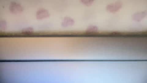 Snapshot of sofia8428 chatting on 09.22.25 sofia8428 online show from 09.22.25